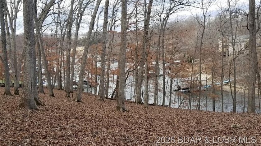 !.6 acres on beautiful Lake of the Ozarks. Gentle sloping lot - photo 26