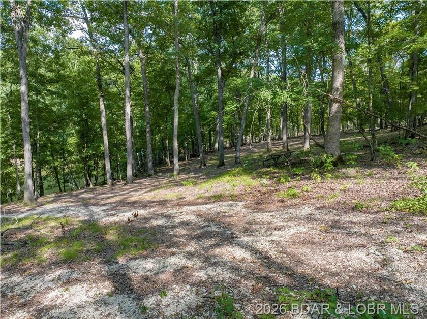 !.6 acres on beautiful Lake of the Ozarks. Gentle sloping lot - photo 27