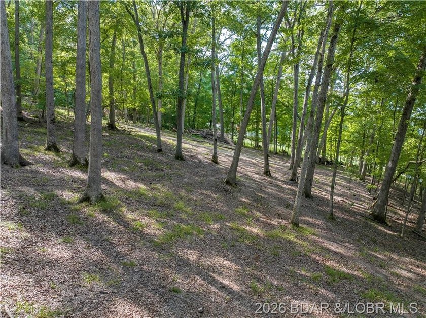 !.6 acres on beautiful Lake of the Ozarks. Gentle sloping lot - photo 28