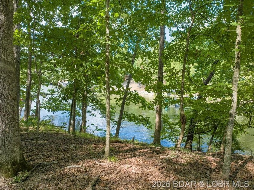 !.6 acres on beautiful Lake of the Ozarks. Gentle sloping lot - photo 30