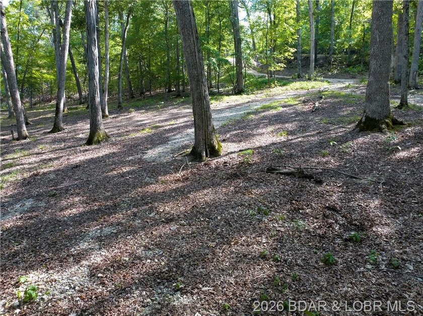 !.6 acres on beautiful Lake of the Ozarks. Gentle sloping lot - photo 31