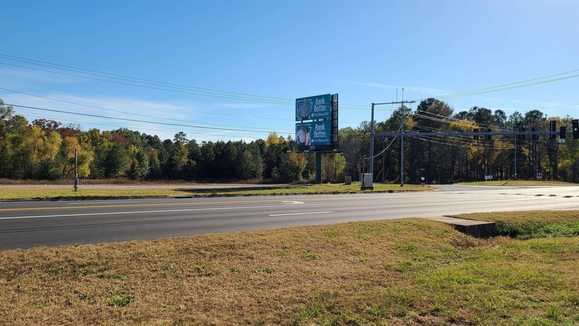 2 acres at prime commercial corner with 200+ frontage on busy - photo 4