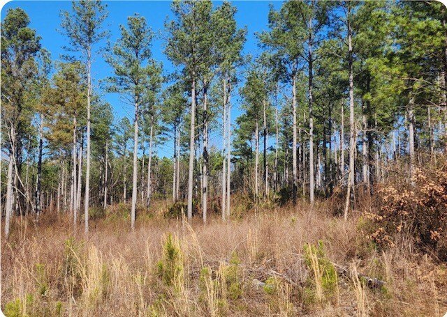 Land Luxury in Guntersville! Discover an exceptional opportunity - photo 8
