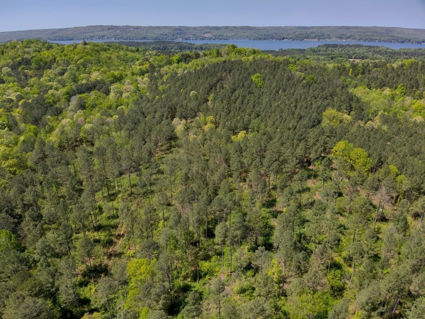 Land Luxury in Guntersville! Discover an exceptional opportunity - photo 9