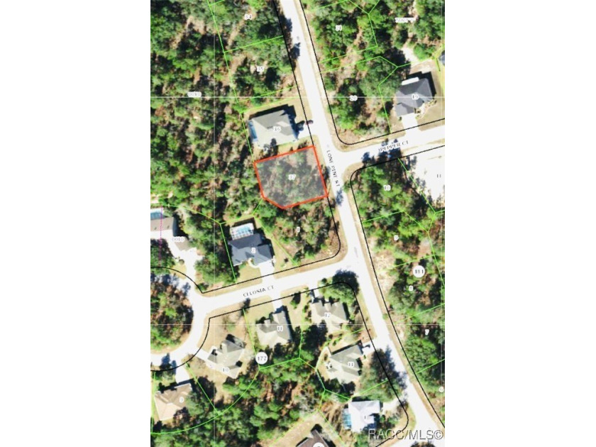 Premium home site in Oak Village at Sugarmill Woods. Block 176 - photo 2