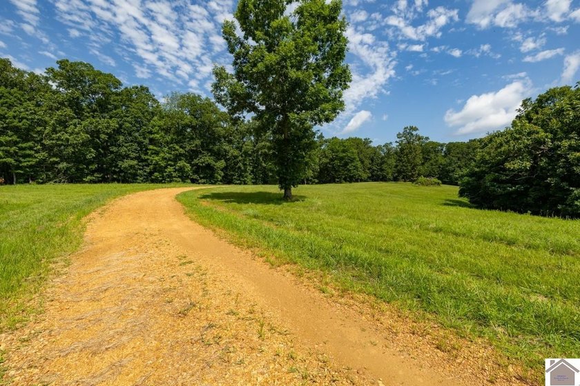 Rarely does a property come to market that offers the - photo 3
