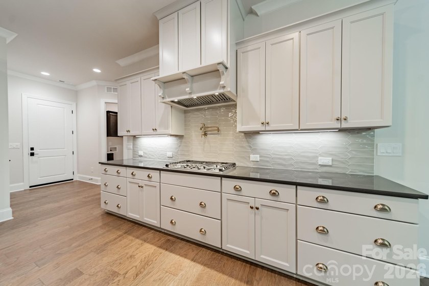 Beautiful new custom home in the Irish Creek Country Club - photo 19