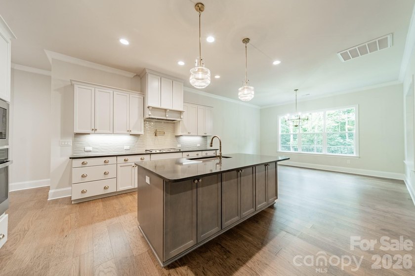 Beautiful new custom home in the Irish Creek Country Club - photo 23
