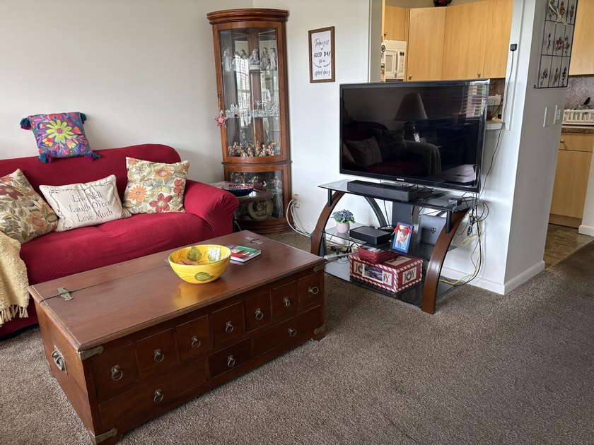 Discover this one-bedroom, one-and-a-half-bath condominium - photo 5