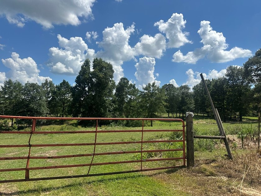 Looking for pasture land? Here you go! This property is fenced - photo 2