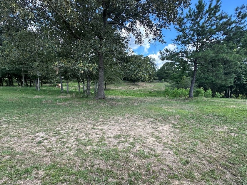Looking for pasture land? Here you go! This property is fenced - photo 4