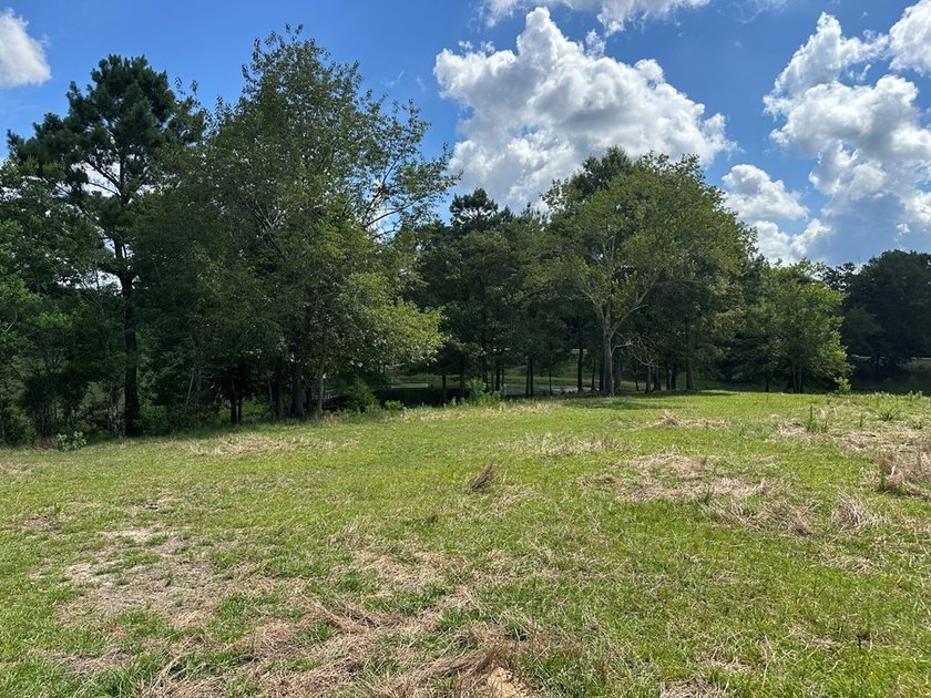 Looking for pasture land? Here you go! This property is fenced - photo 5