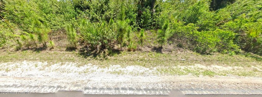 VACANT LAND = Build your New Home in desirable area of Palm Bay= - photo 3