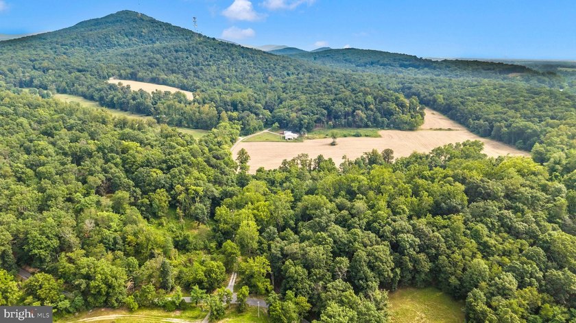 ONCE-IN-A-LIFETIME 257+/- ACRE PROPERTY IN WASHINGTON COUNTY - photo 3