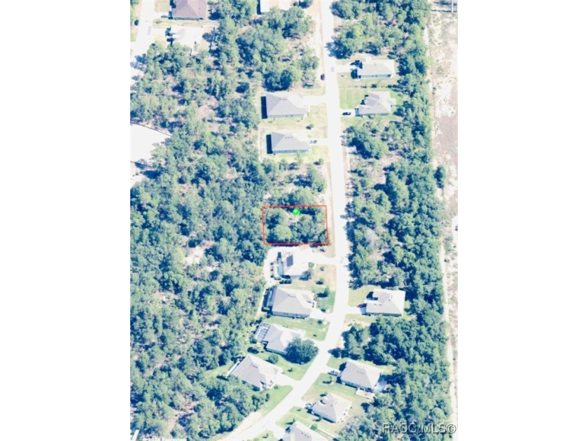 Premium home site in Oak Village at Sugarmill Woods. Block 188 - photo 2