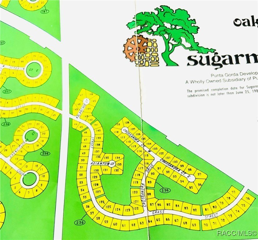 Premium home site in Oak Village at Sugarmill Woods. Block 236 - photo 3
