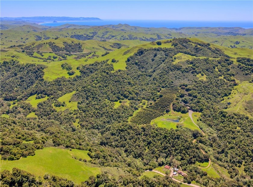 This dream 195 acre California Coastal Ranch provides you with - photo 28