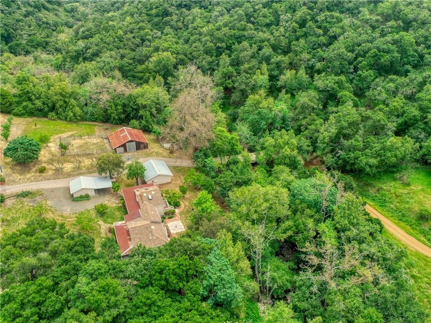 This dream 195 acre California Coastal Ranch provides you with - photo 30