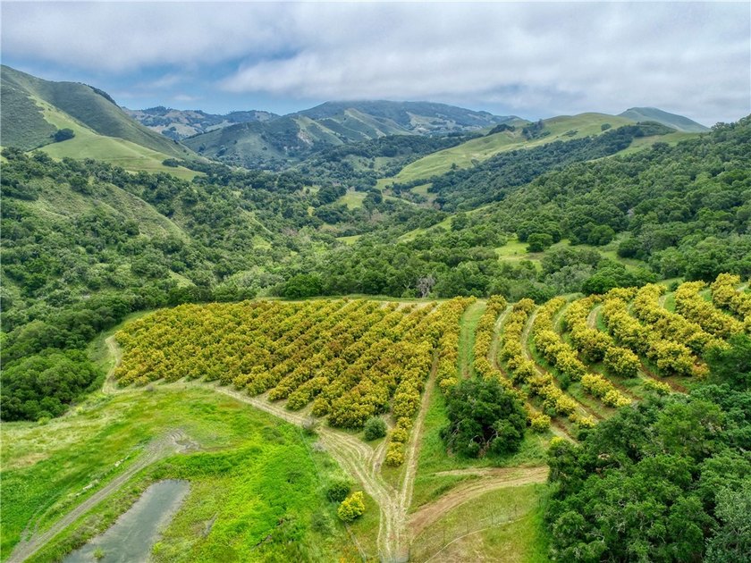 This dream 195 acre California Coastal Ranch provides you with - photo 31