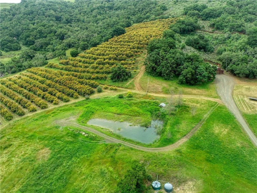 This dream 195 acre California Coastal Ranch provides you with - photo 33