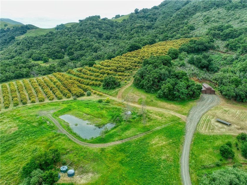 This dream 195 acre California Coastal Ranch provides you with - photo 34