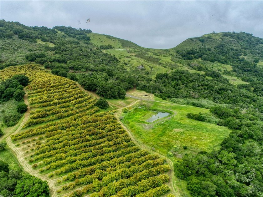This dream 195 acre California Coastal Ranch provides you with - photo 36