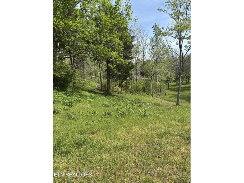 Perfect location! 9 minutes to I-40, shopping, restaurants &amp; - photo 2