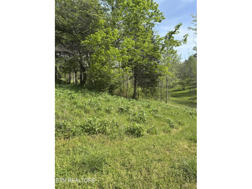 Perfect location! 9 minutes to I-40, shopping, restaurants &amp; - photo 5