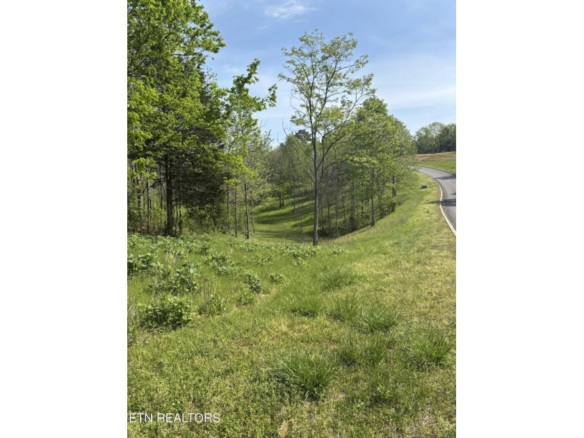 Perfect location! 9 minutes to I-40, shopping, restaurants &amp; - photo 6