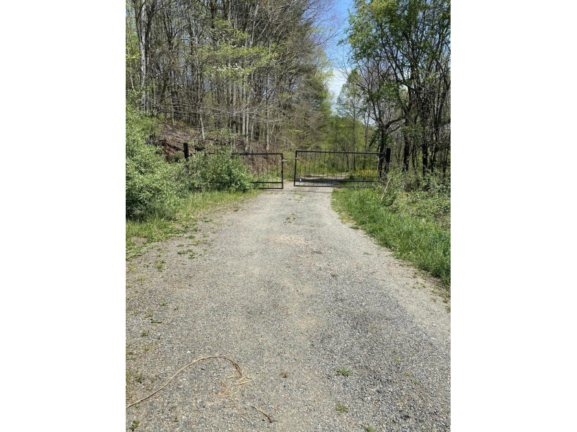 Tbd Big Dry Run Road, Butler, TN 37640, 2718201