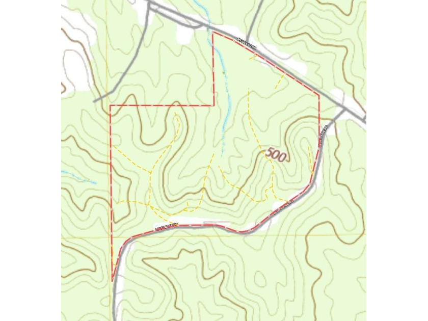 105.06+/- Acres | Mt. Gilead Rd &amp; Blue Ridge Rd | Itawamba - photo 3