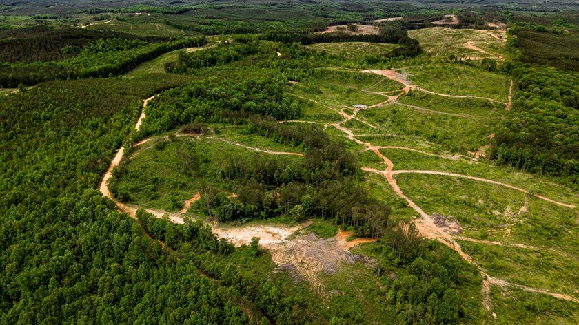 105.06+/- Acres | Mt. Gilead Rd &amp; Blue Ridge Rd | Itawamba - photo 5