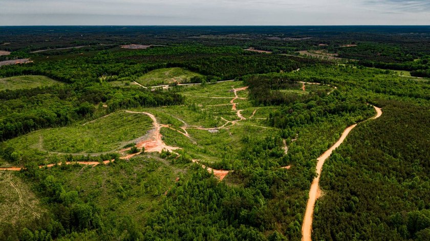 105.06+/- Acres | Mt. Gilead Rd &amp; Blue Ridge Rd | Itawamba - photo 8