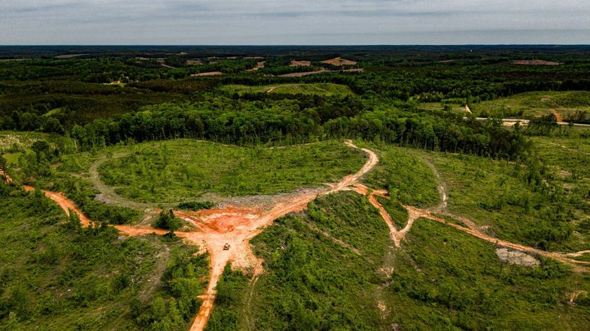 105.06+/- Acres | Mt. Gilead Rd &amp; Blue Ridge Rd | Itawamba - photo 10