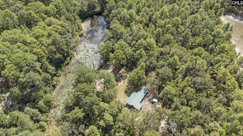 A long, private, tree-lined drive leads to a brick cabin - photo 2