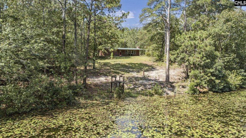 A long, private, tree-lined drive leads to a brick cabin - photo 4