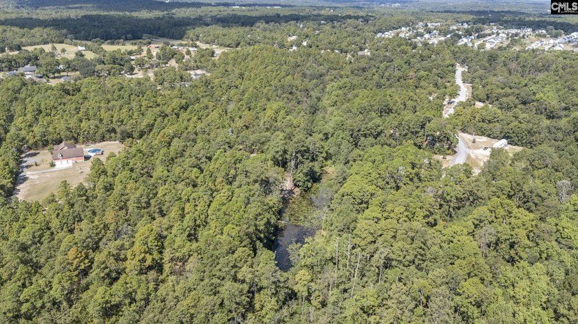 A long, private, tree-lined drive leads to a brick cabin - photo 8