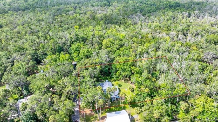 UPDATE: 1) 2nd PRICE REDUCTION! Welcome to old Florida living! - photo 36