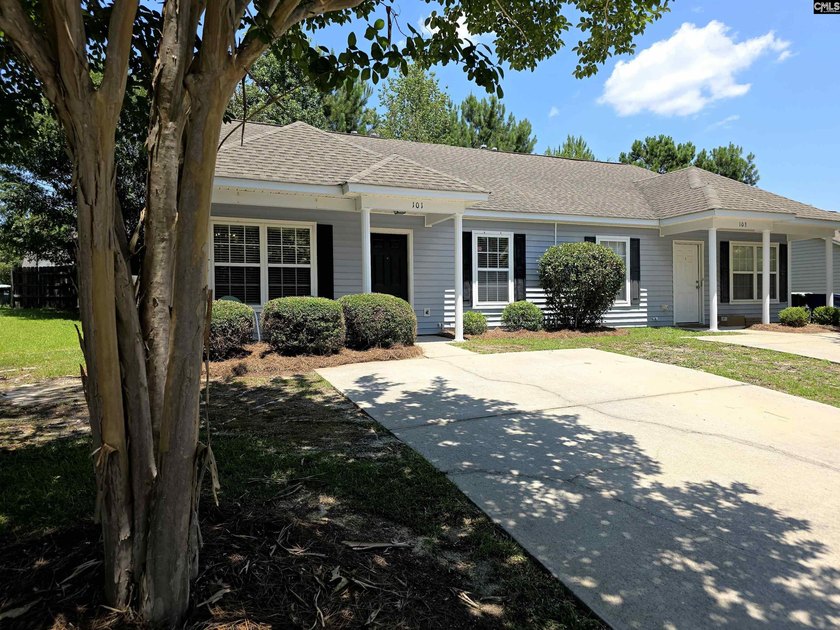 If you've been searching for a home that's truly move in ready - photo 3