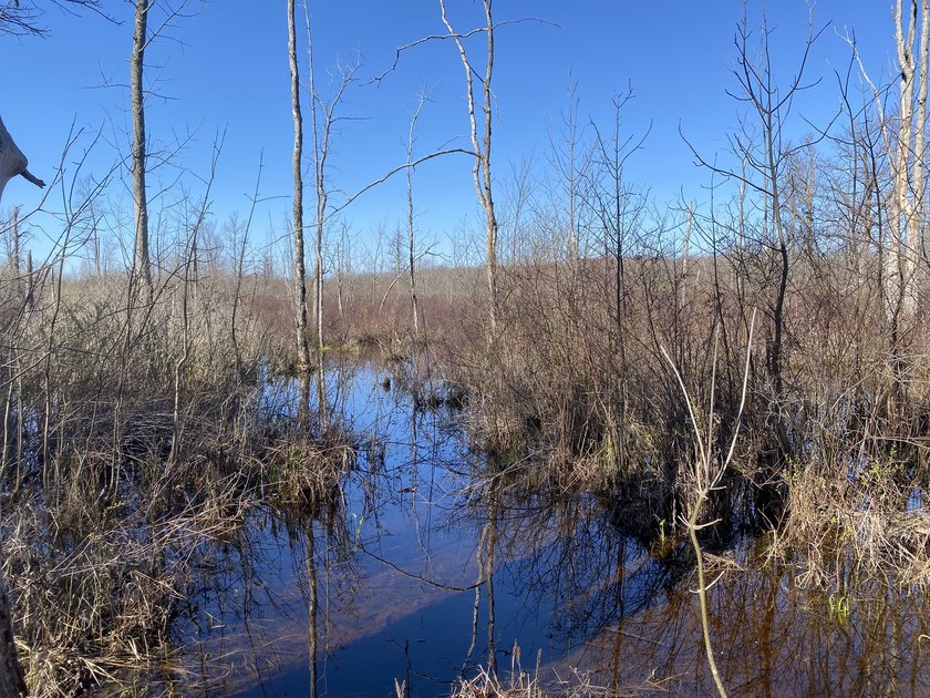 As the crow flies, this 37.5-acre property is approximately 1/4 - photo 6