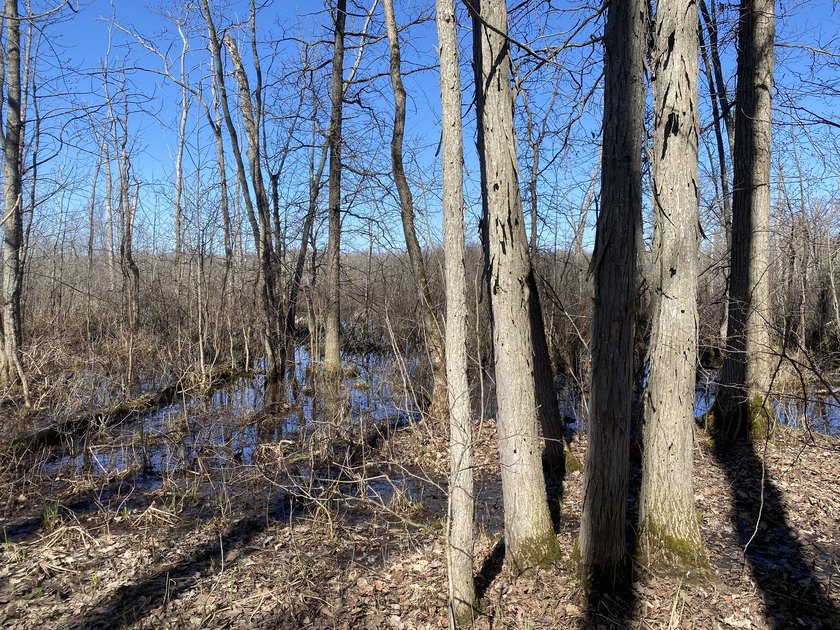 As the crow flies, this 37.5-acre property is approximately 1/4 - photo 8