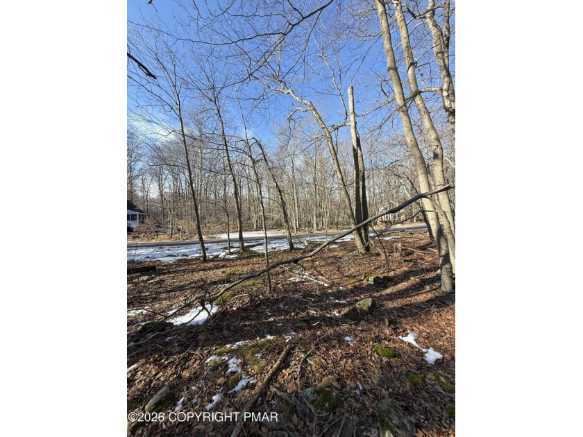 Discover the perfect opportunity to own .48 acres in the - photo 8