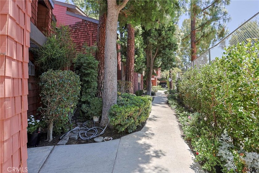 356 S Prospectors 83 - photo 12