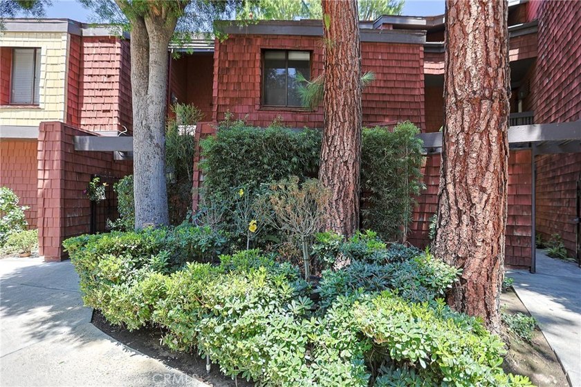 356 S Prospectors 83 - photo 13