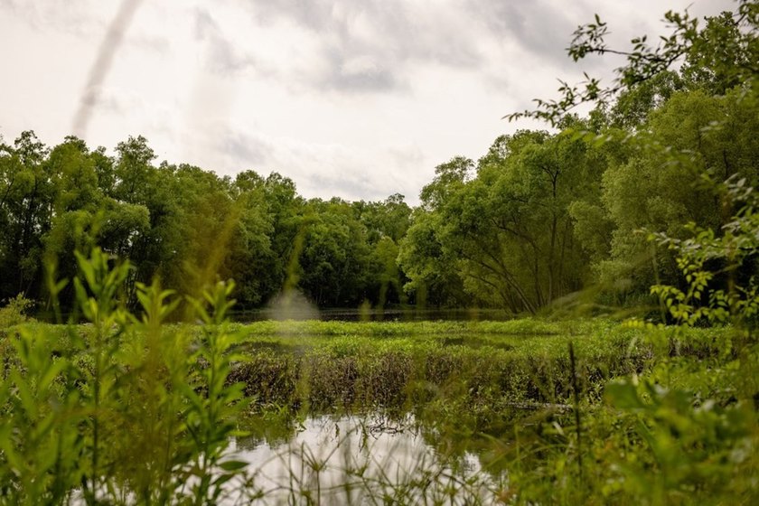 Hunting land for sale in Claiborne County, Mississippi. This - photo 2