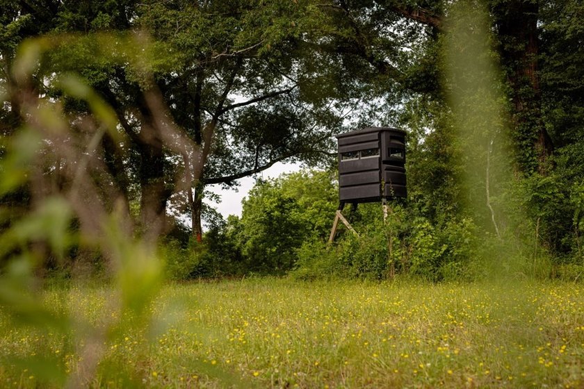 Hunting land for sale in Claiborne County, Mississippi. This - photo 6