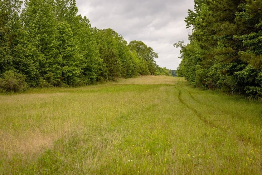 Hunting land for sale in Claiborne County, Mississippi. This - photo 7