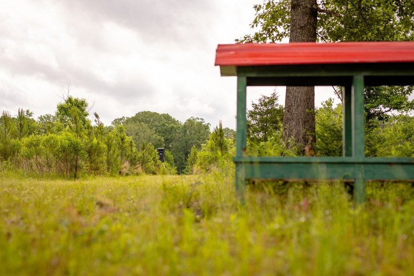 Hunting land for sale in Claiborne County, Mississippi. This - photo 9