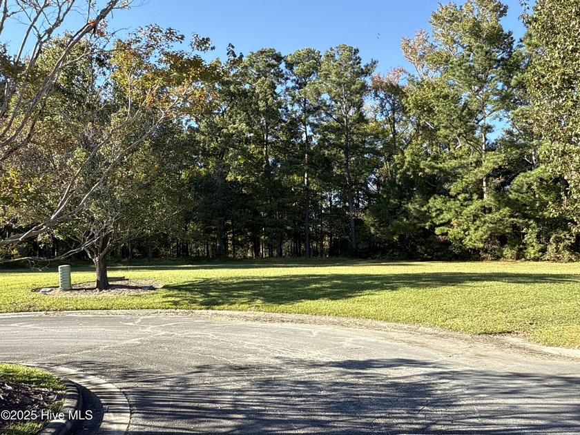 Located at beautiful 338 Southern Way (Lot 61) in the desirable - photo 5
