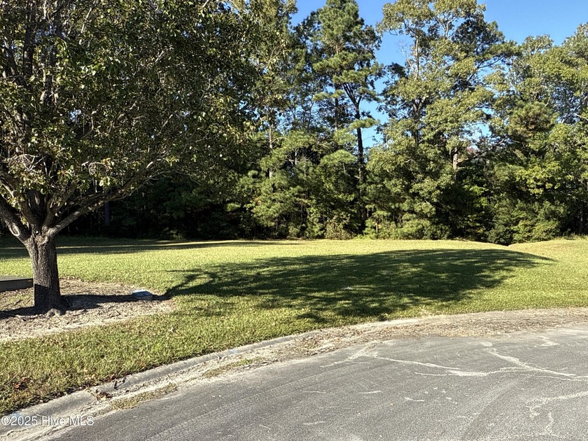 Located at beautiful 338 Southern Way (Lot 61) in the desirable - photo 10